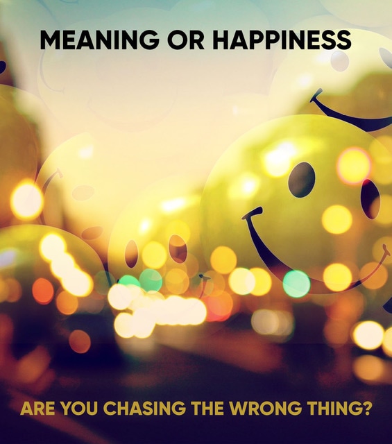 Counselling blog - meaning or happiness